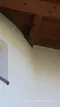 116435375_3081053311960172_2337688976598824189_n.jpg