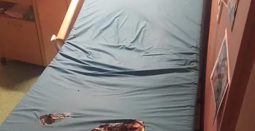 1_20180507_053014.jpg