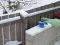 1_p1040337.jpg