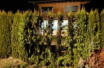 3_p1020853.jpg