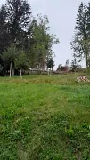 9dda8d843f264ae8bb6827f54da831c9.jpg