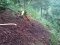 img20160625wa0016.jpg