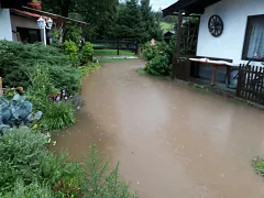 img20170721wa0074.jpg