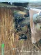 img20211130wa0006.jpg