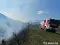 img_20200410_154654.jpg