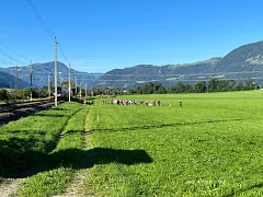 img_2527_kopie.jpg