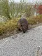 img_2907_1.jpeg