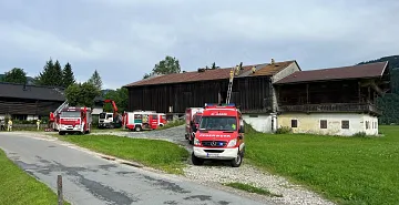 img_49822.jpg