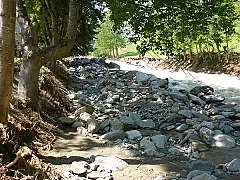 p1010130_960x638.jpg