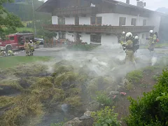 p1030104.jpg