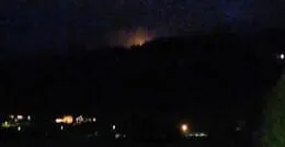 Brand-Wald