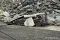 1_dsc_9958.jpg