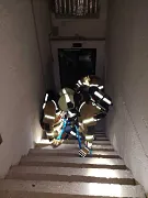 e08833e4e15b4a7d935a5ccd4ce3192b.jpeg