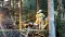 img20170502wa0021.jpg