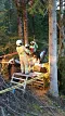 img20170502wa0026.jpg