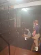 img20190216wa0016.jpg