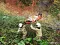 img20191102wa0070_2.jpg