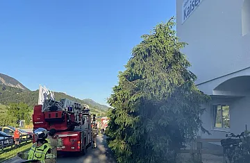 img_0976.jpeg