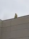 img20161004wa0044.jpg